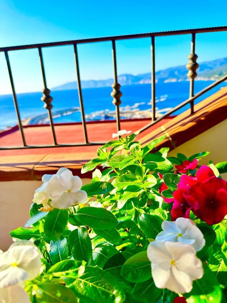 Cala Gonone House Apartman Kültér fotó